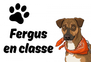 Fergus en classe Fergus en classe